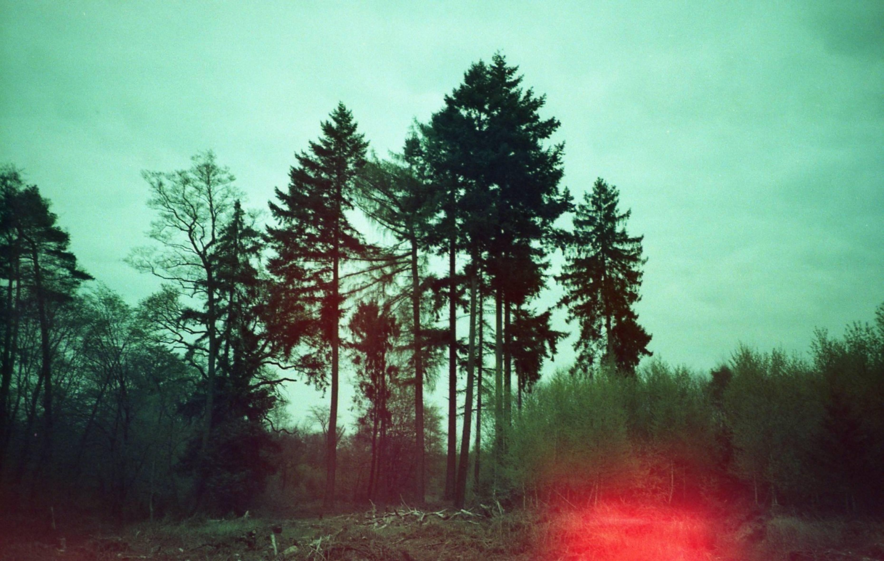 Julia Beyer Color Photograph - Where My Heart Belongs II