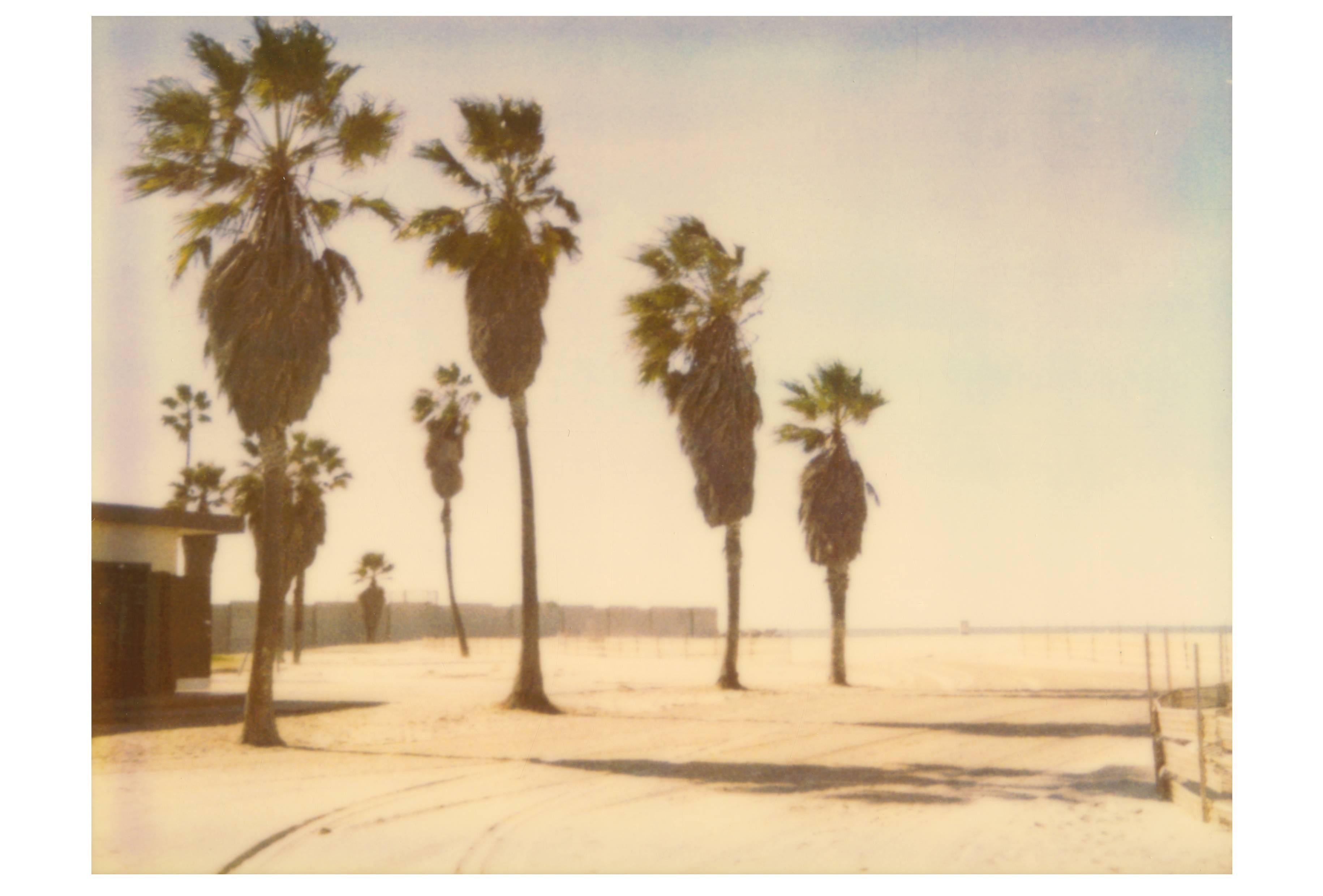 Stefanie Schneider Landscape Photograph - Palm Trees in Venice - analog C-Print, hand-printed by the artist, Polaroid