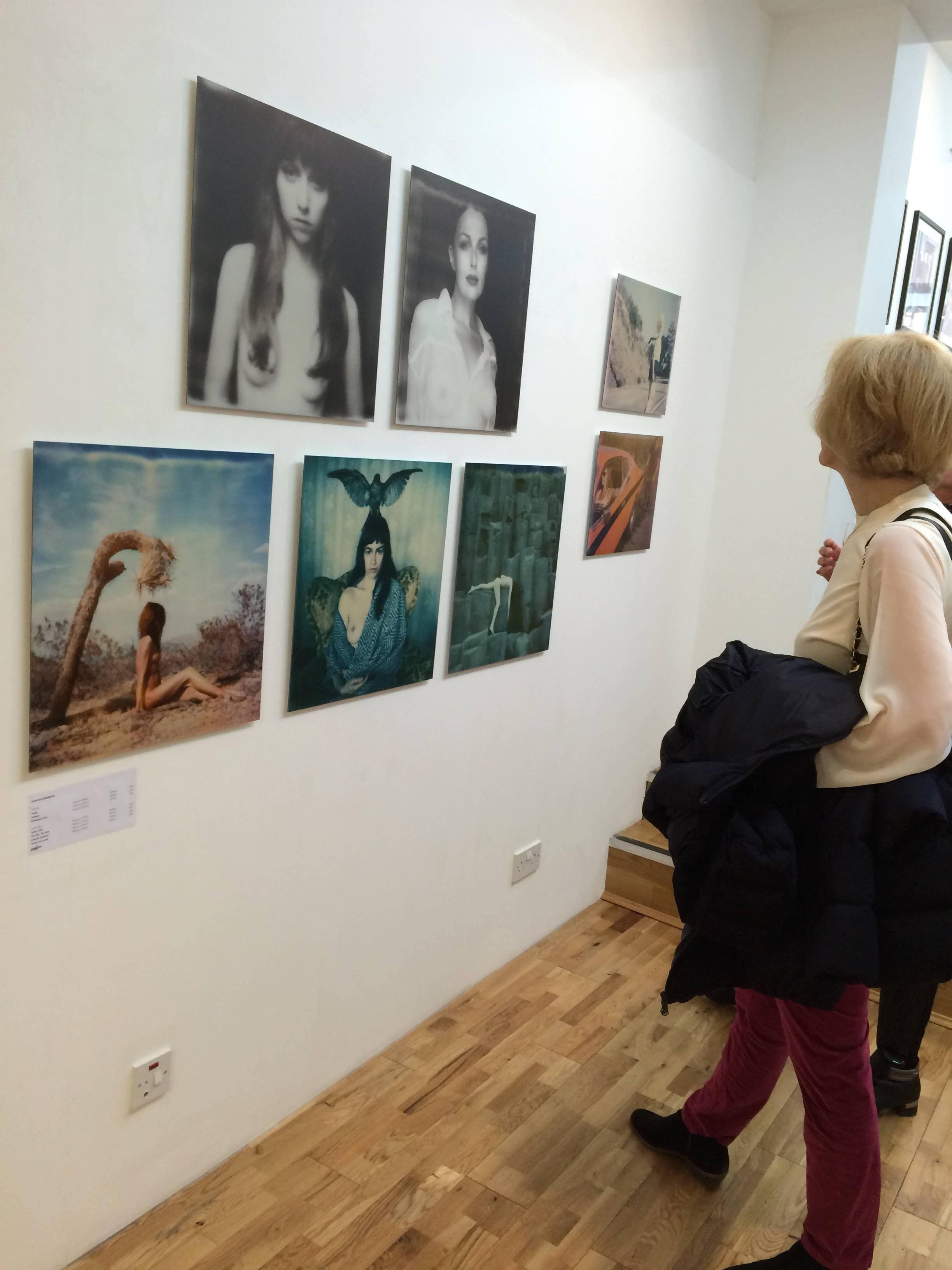 Frágil - Photograph Contemporáneo de Sven van Driessche