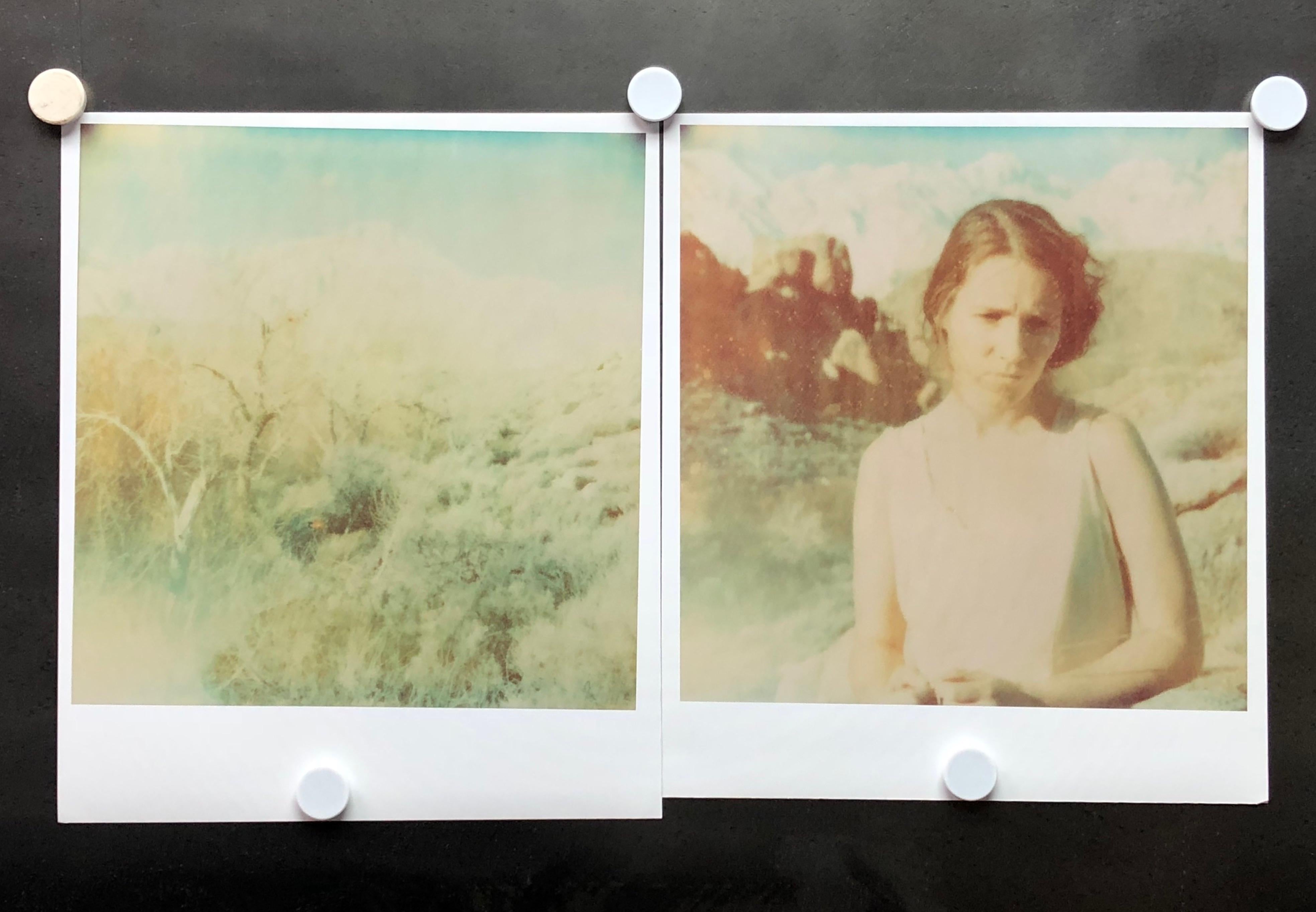 Stefanie Schneider Landscape Photograph - Wind Swep (Wastelands) - diptych, Contemporary, Figurative, Polaroid, analog