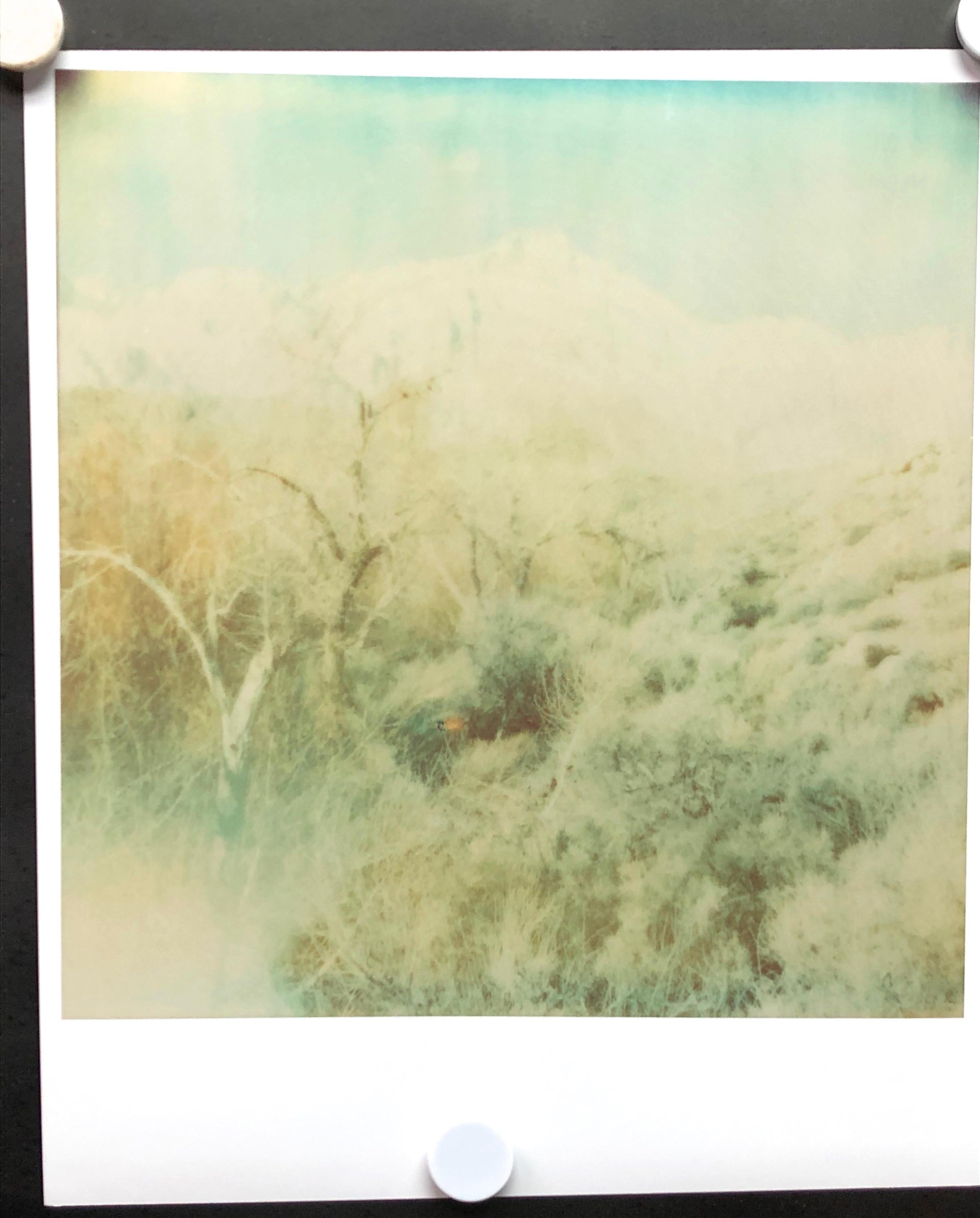 Wind Swep (Wastelands) - diptych, Contemporary, Figurative, Polaroid, analog - Beige Landscape Photograph by Stefanie Schneider