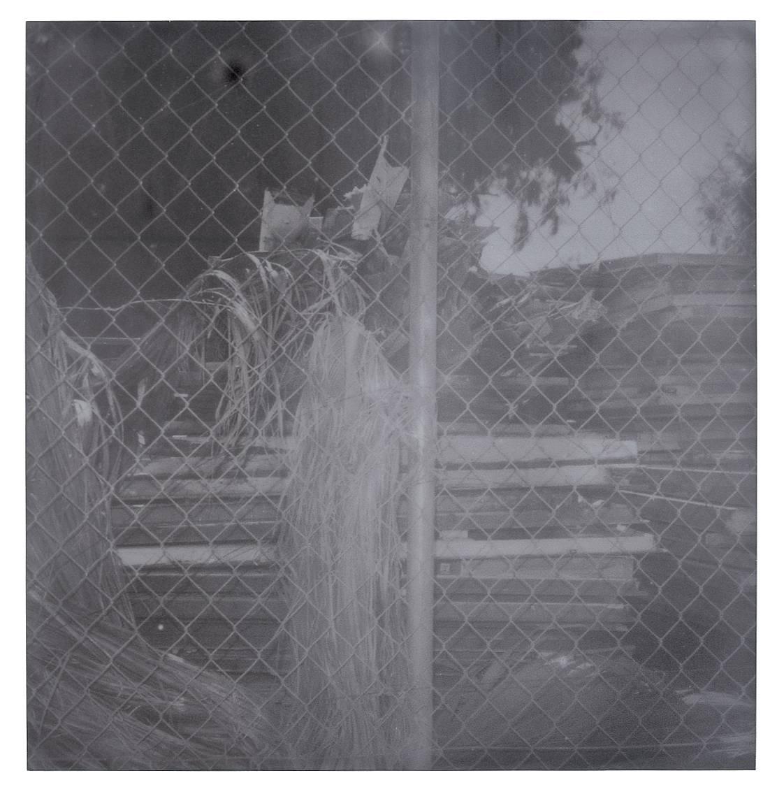Contemporary, Abstract, Landscape, USA, Polaroid, Schneider, 21st Century,  2