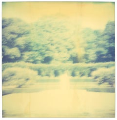 Contemporary, Abstract, Landscape, USA, Polaroid, tree, Schneider, Instantdreams