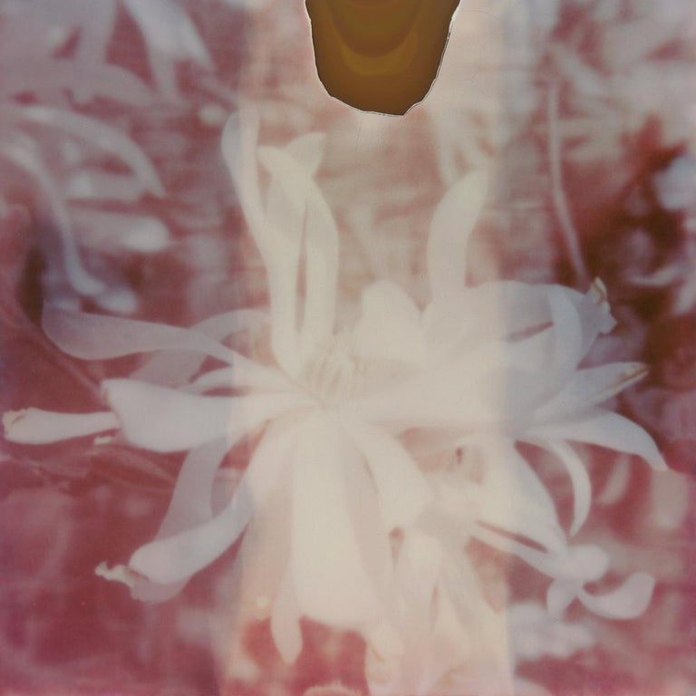 Julia Beyer Landscape Photograph – Magnolia III, 21st Century, Polaroid, Flower, Photography, Contemporary