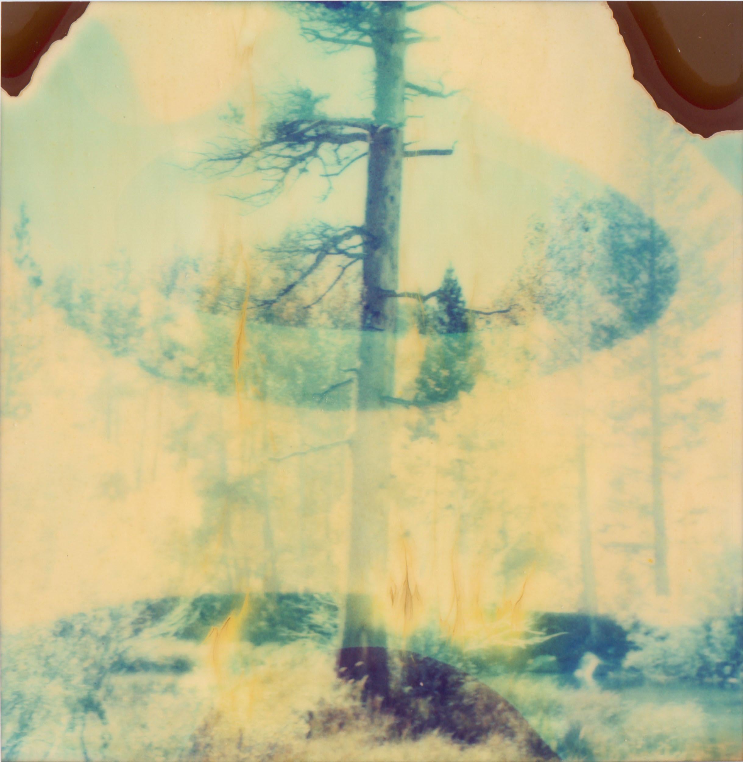 Stefanie Schneider Color Photograph - Contemporary, Abstract, Landscape, Polaroid, expired, Schneider, 21st Century