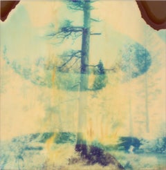 Contemporary, Abstract, Landscape, Polaroid, expired, Schneider, 21st Century