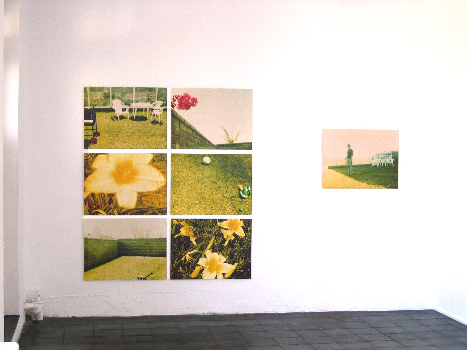 Suburbia, analog, mounted. Polaroid, photograph, 21st Century, landscape,  4