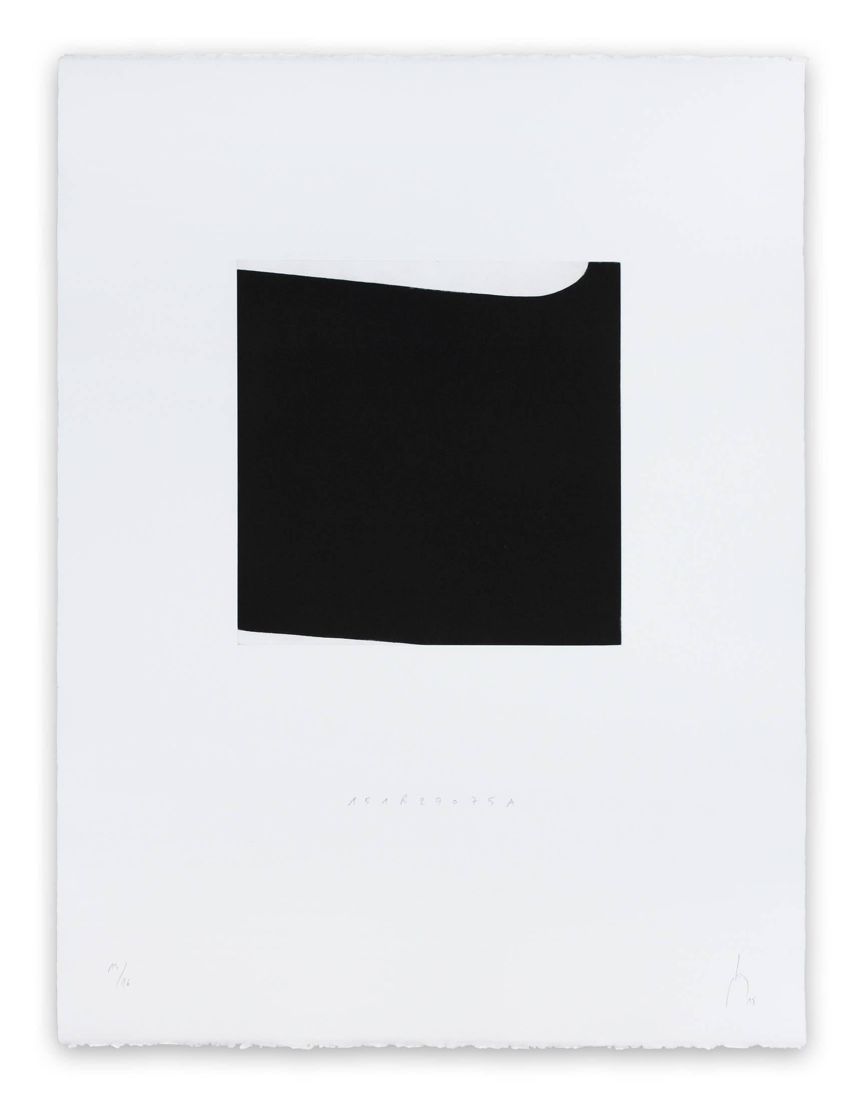 15.2 - Abstract Print by Pierre Muckensturm