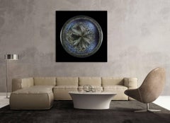 Morphogenetic field - Beluga Caviar (Abstract Photography)