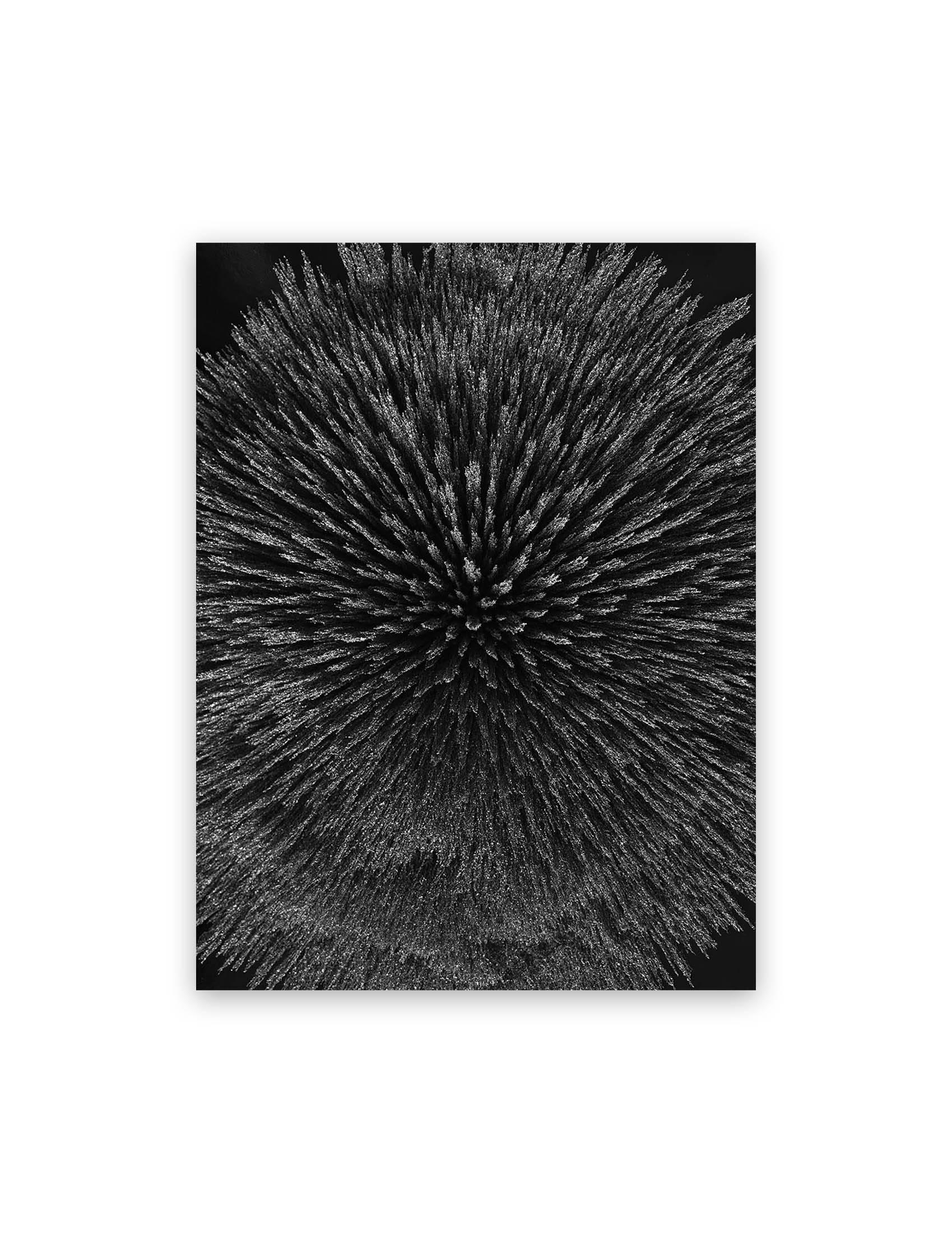 Seb Janiak Black and White Photograph - Magnetic radiation 99 (Medium)