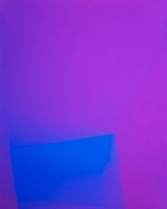 Purple Photography