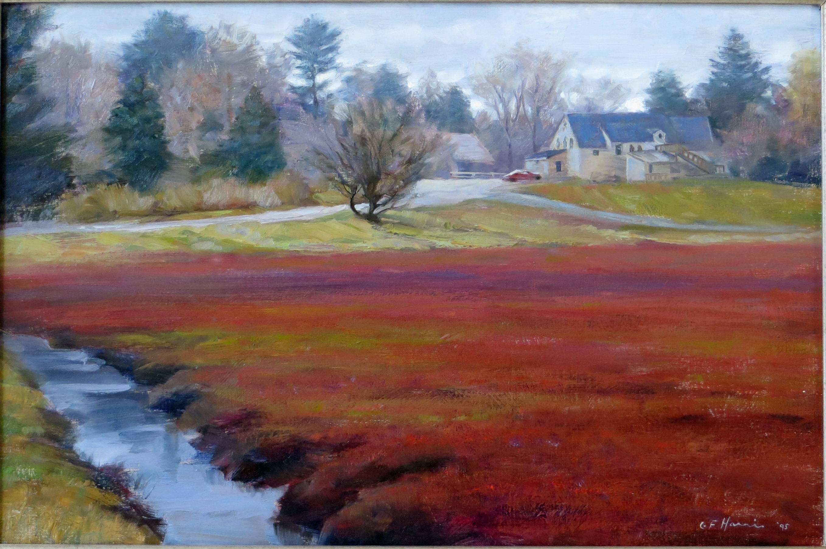 Greg Frank Harris Landscape Painting - Cranberry Bog, Bennet's Store, Duxbury, MA