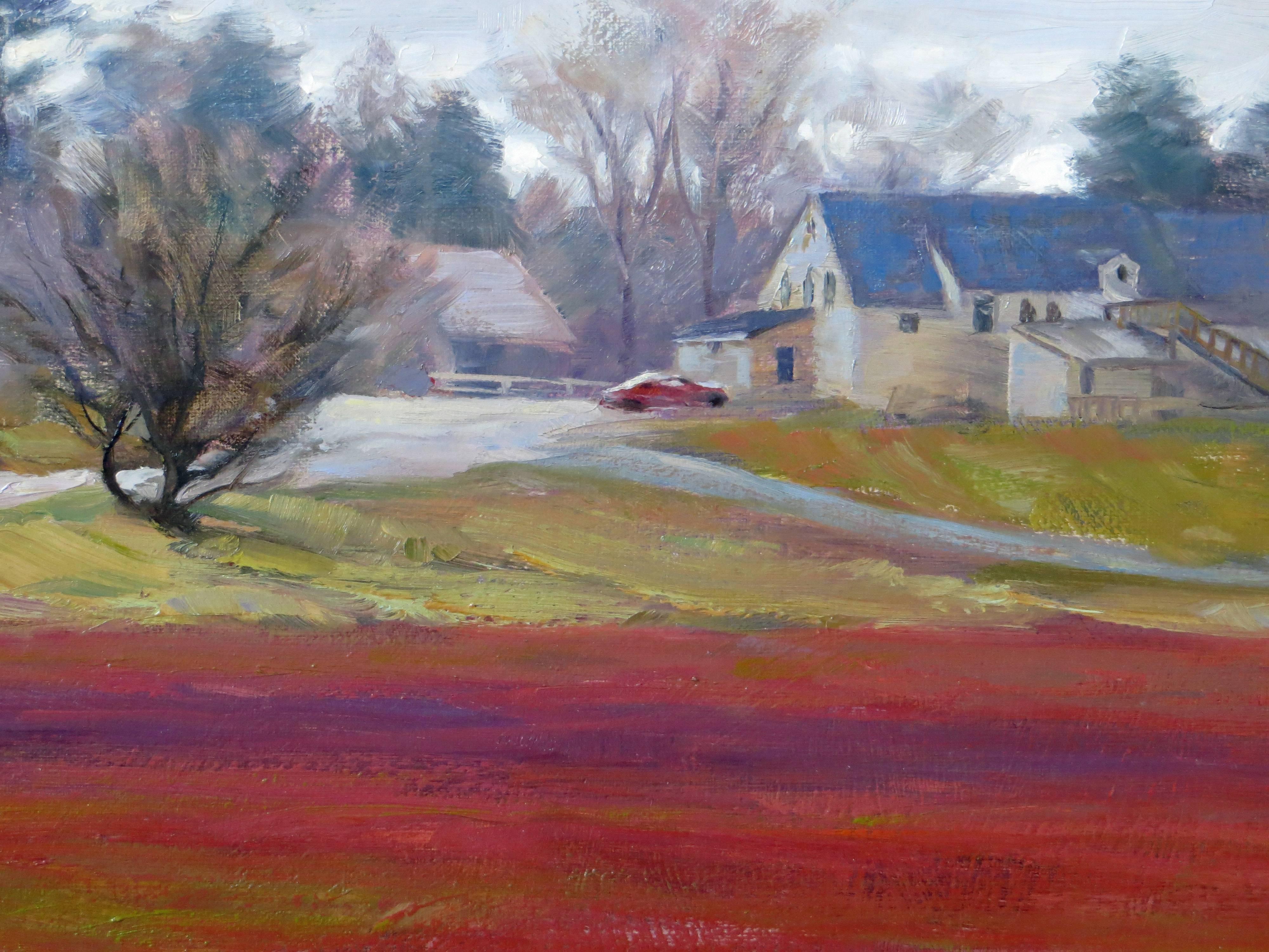 Preiselbeermoor, Bennet's Store, Duxbury, MA (Braun), Landscape Painting, von Greg Frank Harris
