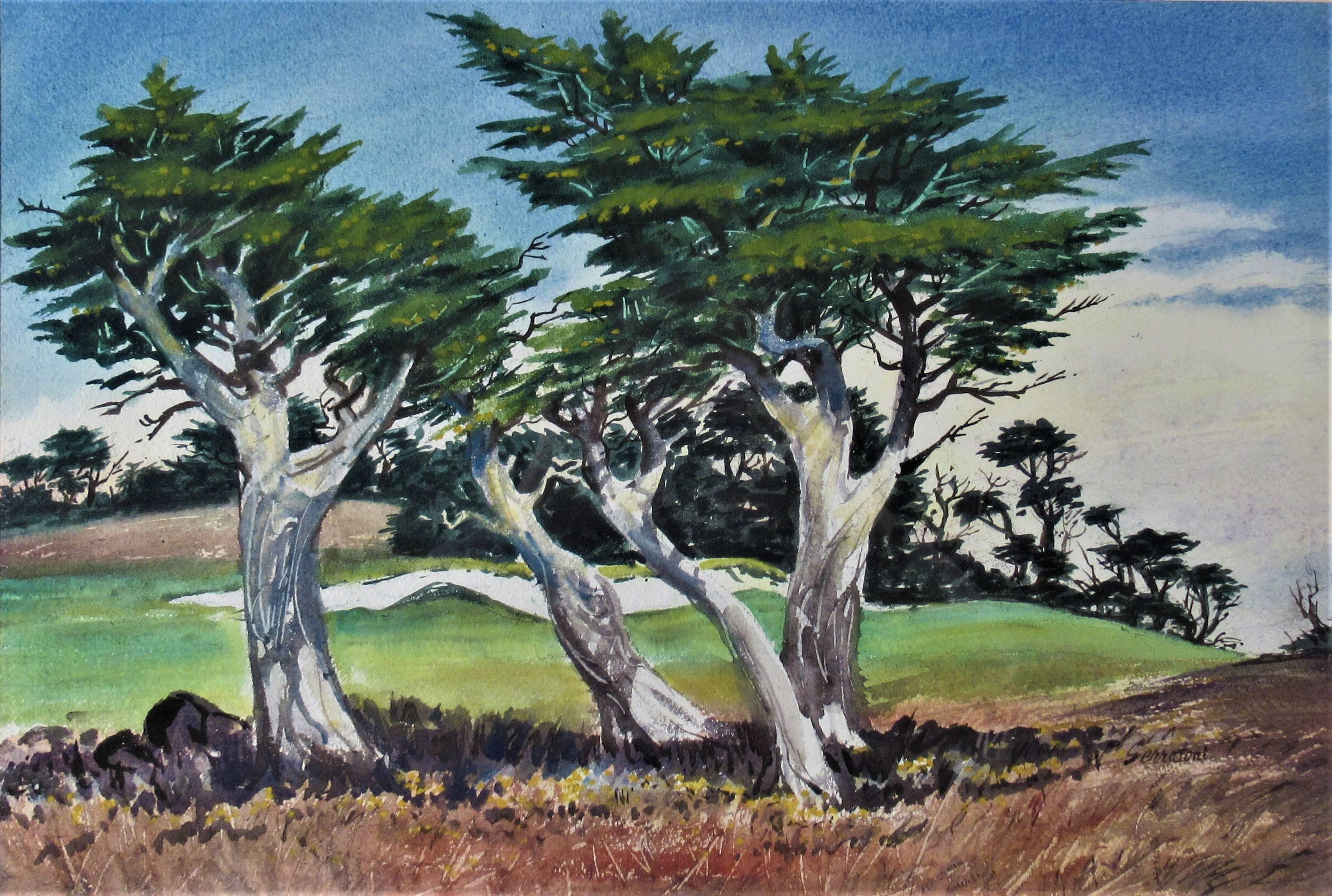 Cypress - Art by Frank Serratoni