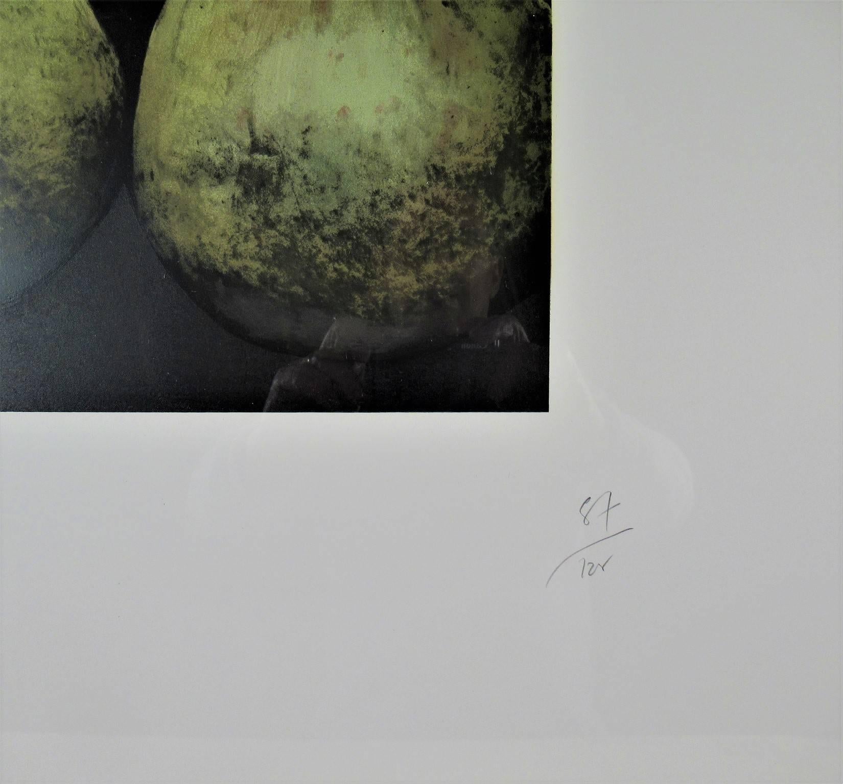 Birnen aus Birnenholz (Grau), Still-Life Print, von Donald Sultan