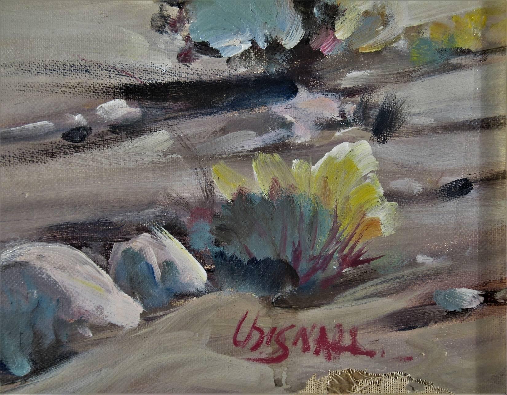 desert scenes to paint