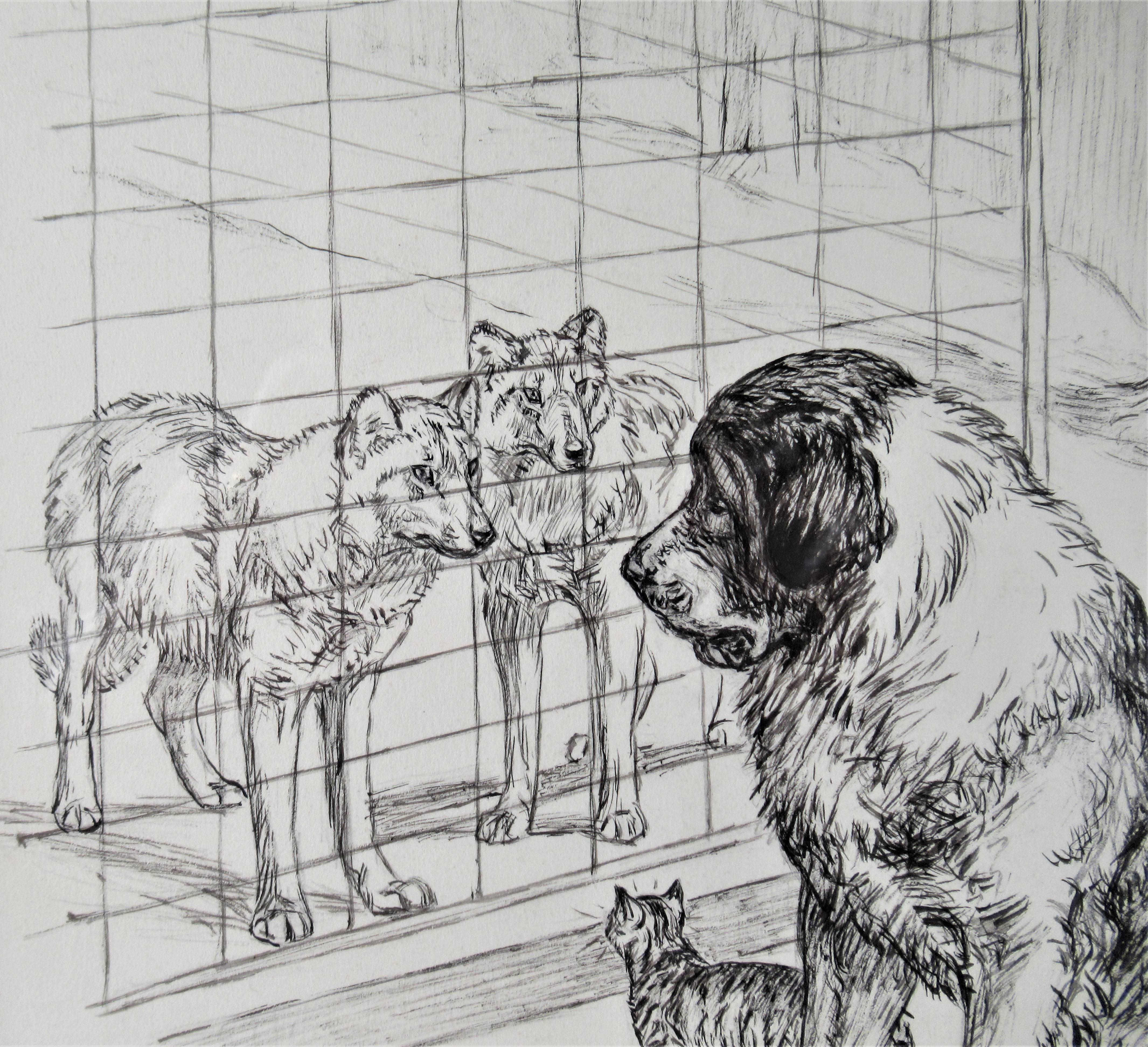  Dogs and Cat Looking at Each Other - Realist Art by Margaret Sweet Johnson