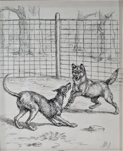 Two Dogs Playing in Front of a Fence