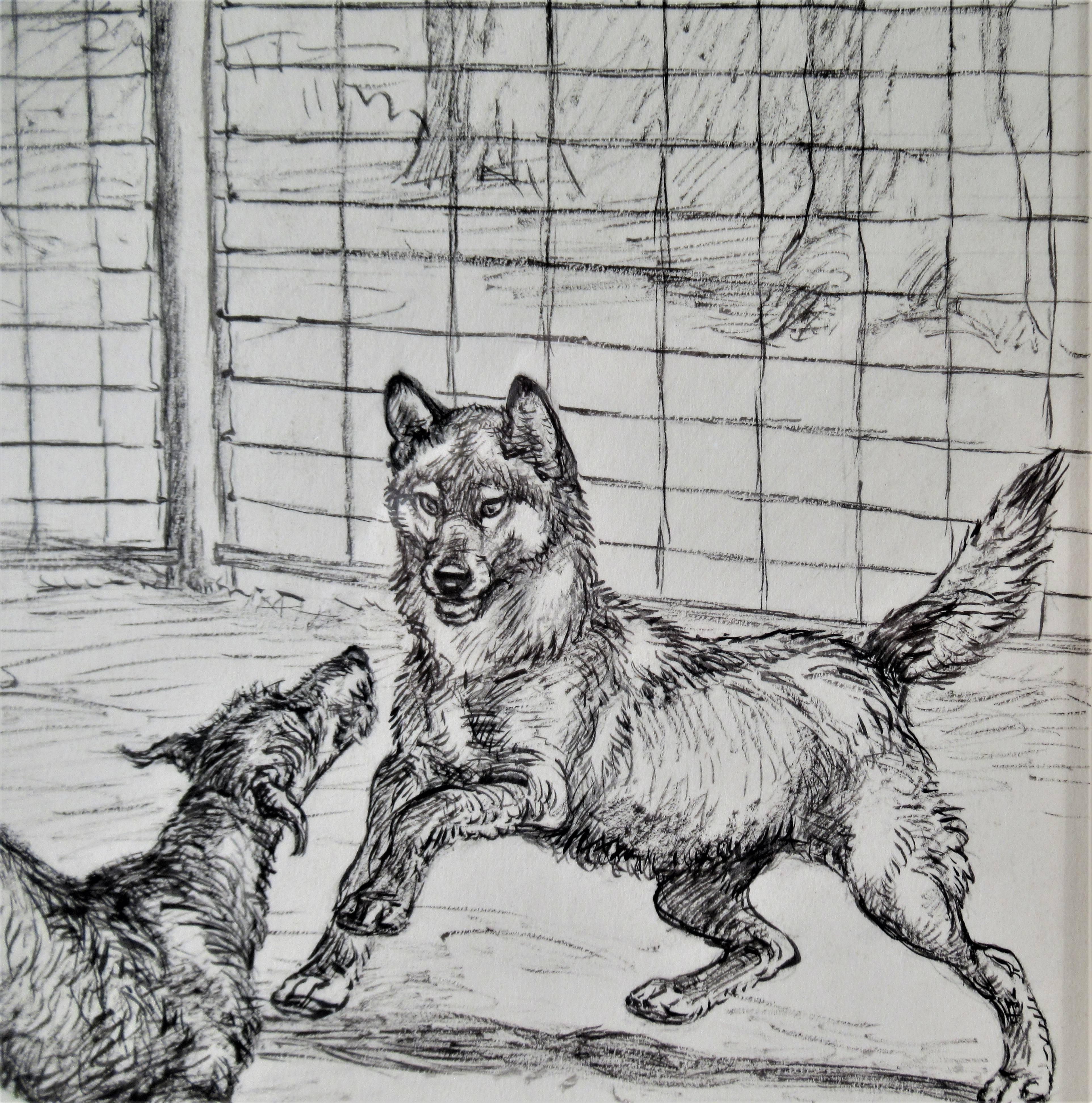 two dogs playing drawing