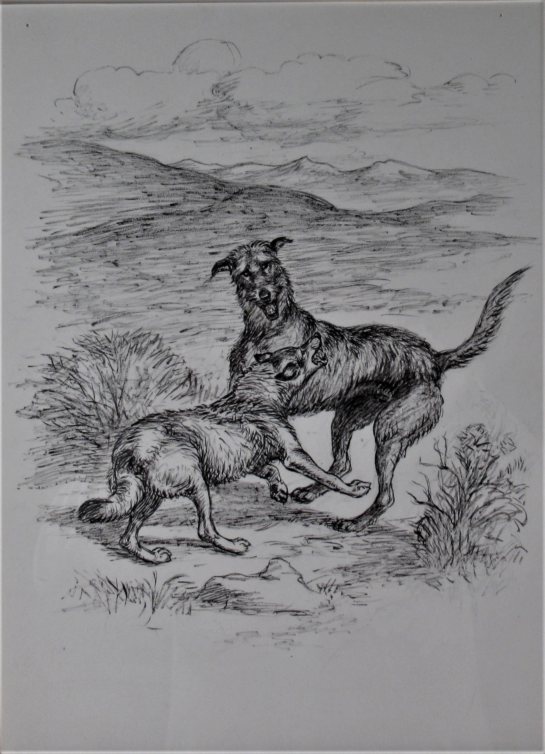 Dog and Wolf Fighting - Art by Margaret Sweet Johnson