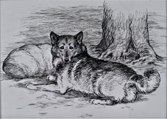 L'Elkbound si sdraiò accanto alla bandella