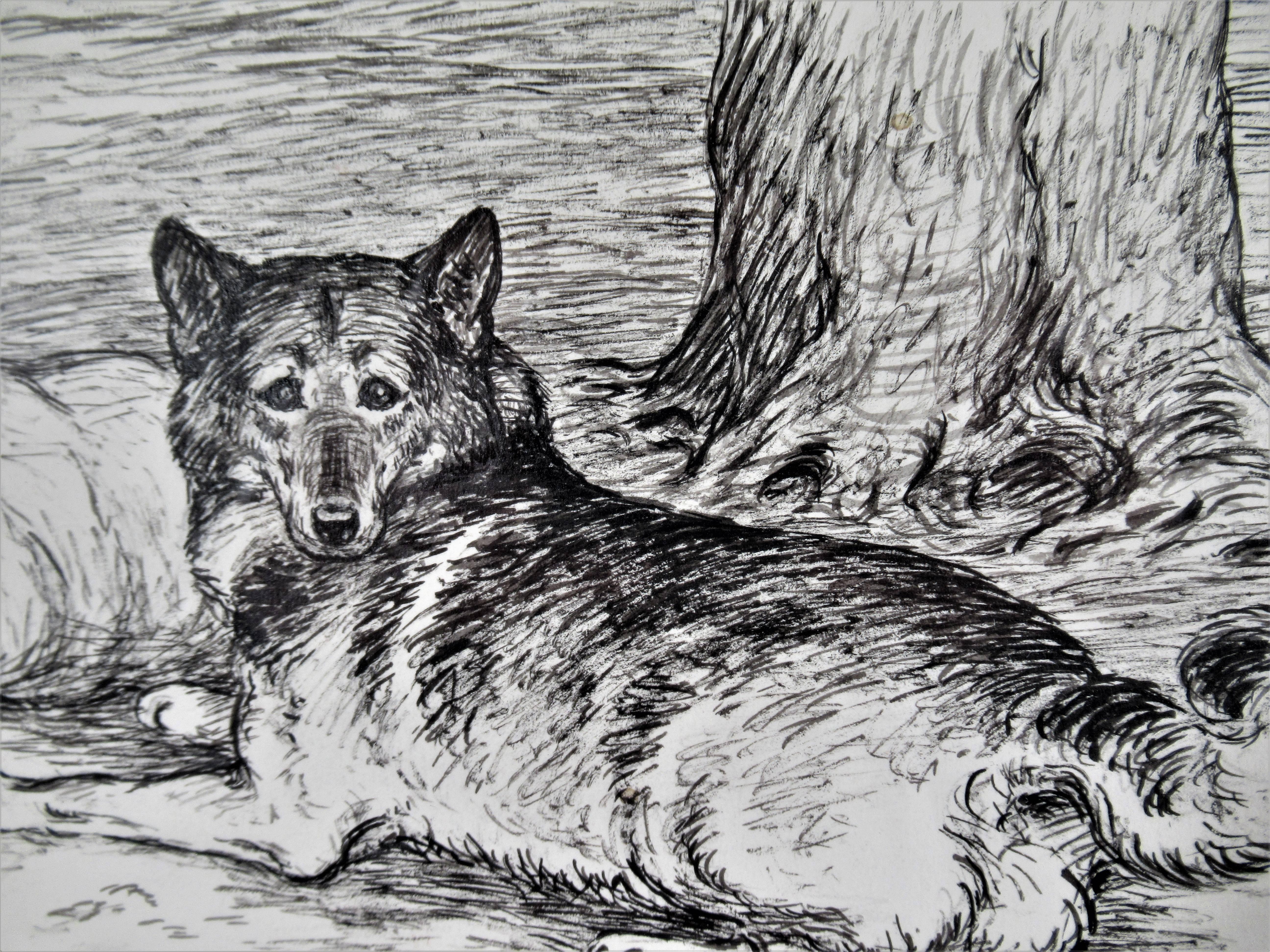 L'Elkbound si sdraiò accanto alla bandella - Art Realismo di Margaret Sweet Johnson