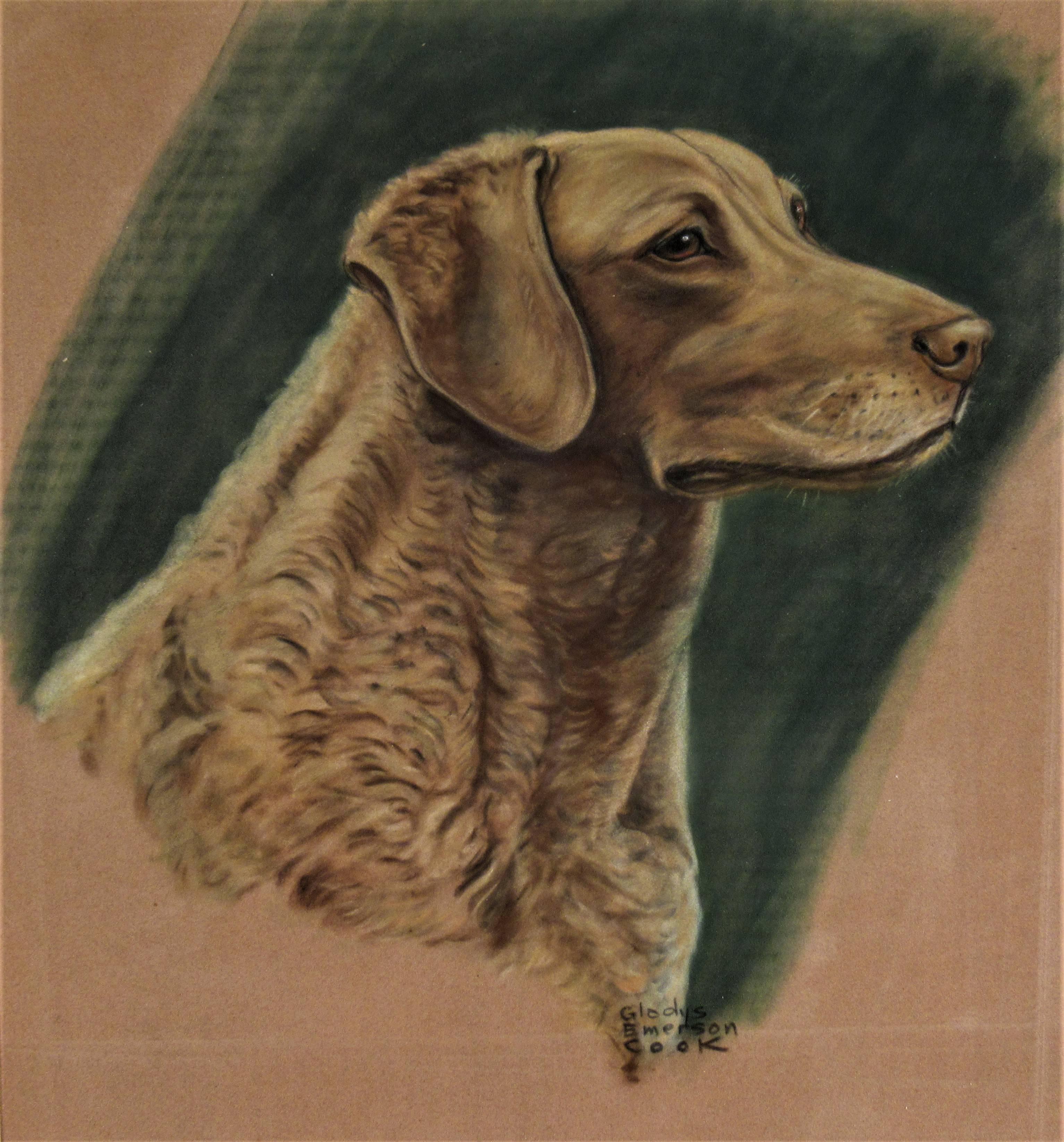 Chien