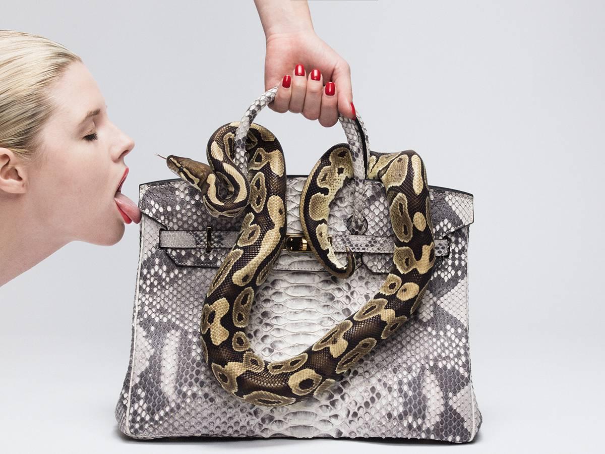 Tyler Shields Color Photograph - Python Birkin II