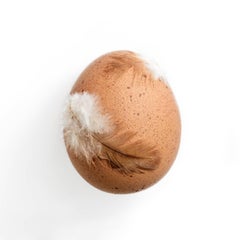 EGG, limited edition photo print