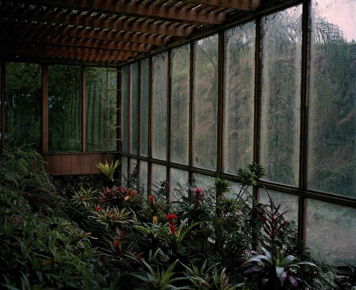 Jason Frank Rothenberg Landscape Photograph - Hawaii (Interior #1)
