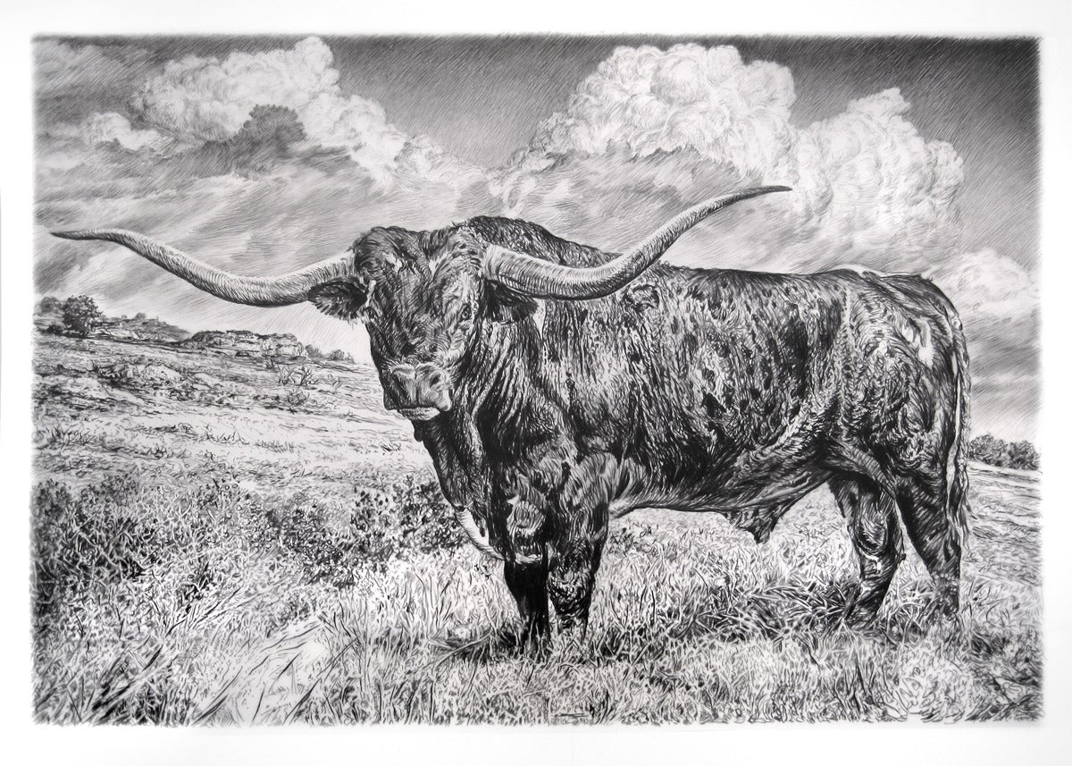 Rick Shaefer Animal Art - Longhorn