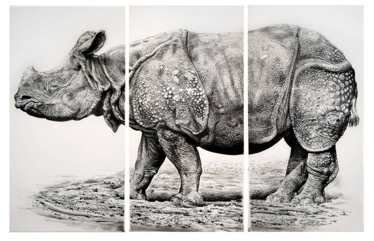 Rick Shaefer Animal Art - Rhino