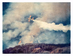 Brushfire #2, Malibu, ed. of 17