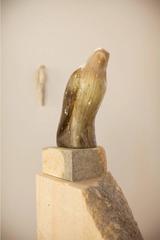 Cave Bird