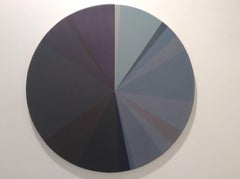 PICASSO PIECHART