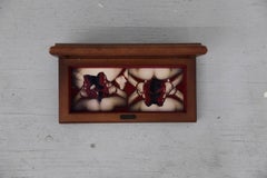 Woman Mandala (Horsehair Mandala in a Box)