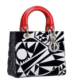 Limited Edition Lady Dior Bag - Matthew Porter