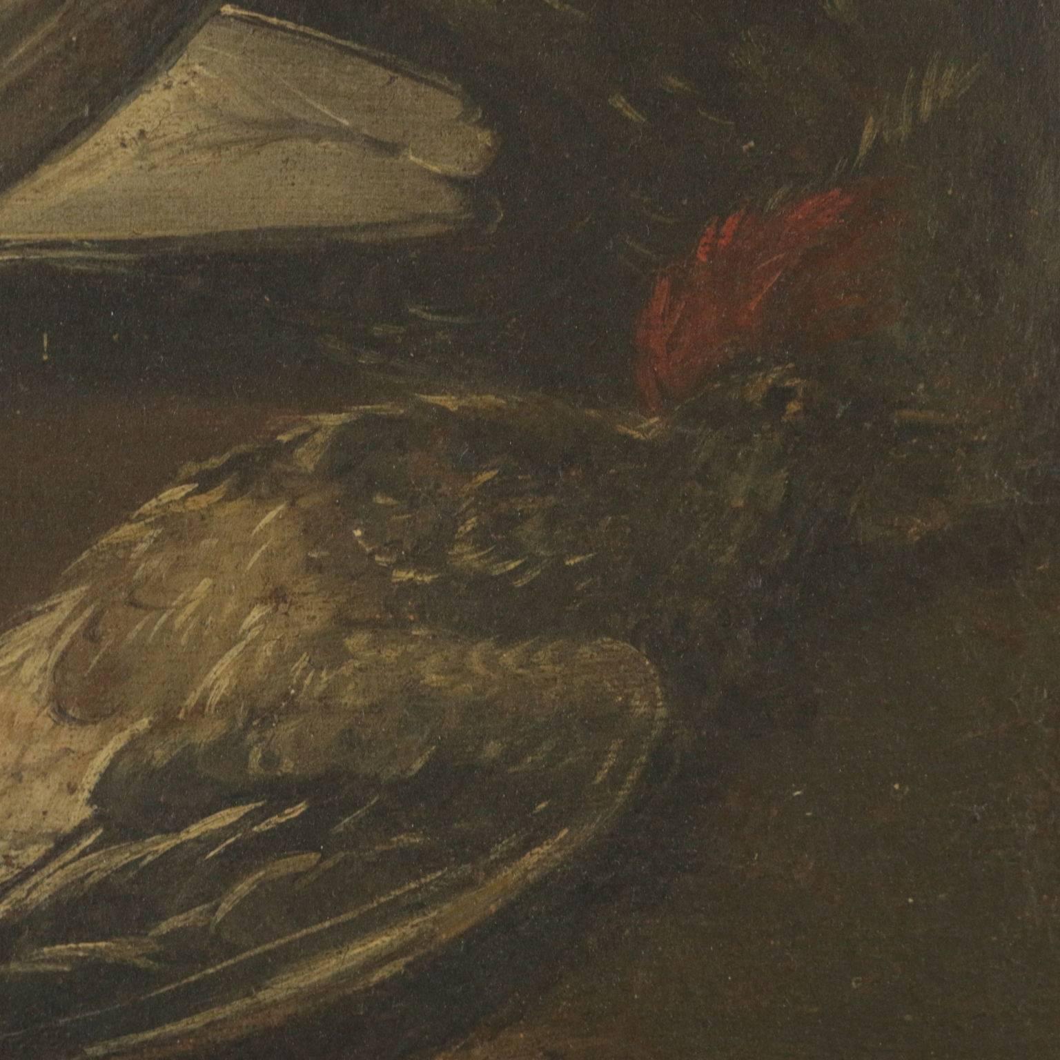 Oil on canvas. The painting recalls those made by Felice Boselli (1650-1732) considering its style and subject. In this painting there is a strong contrast between the dark dead birds and the two white lively doves. Restored and relined, it is