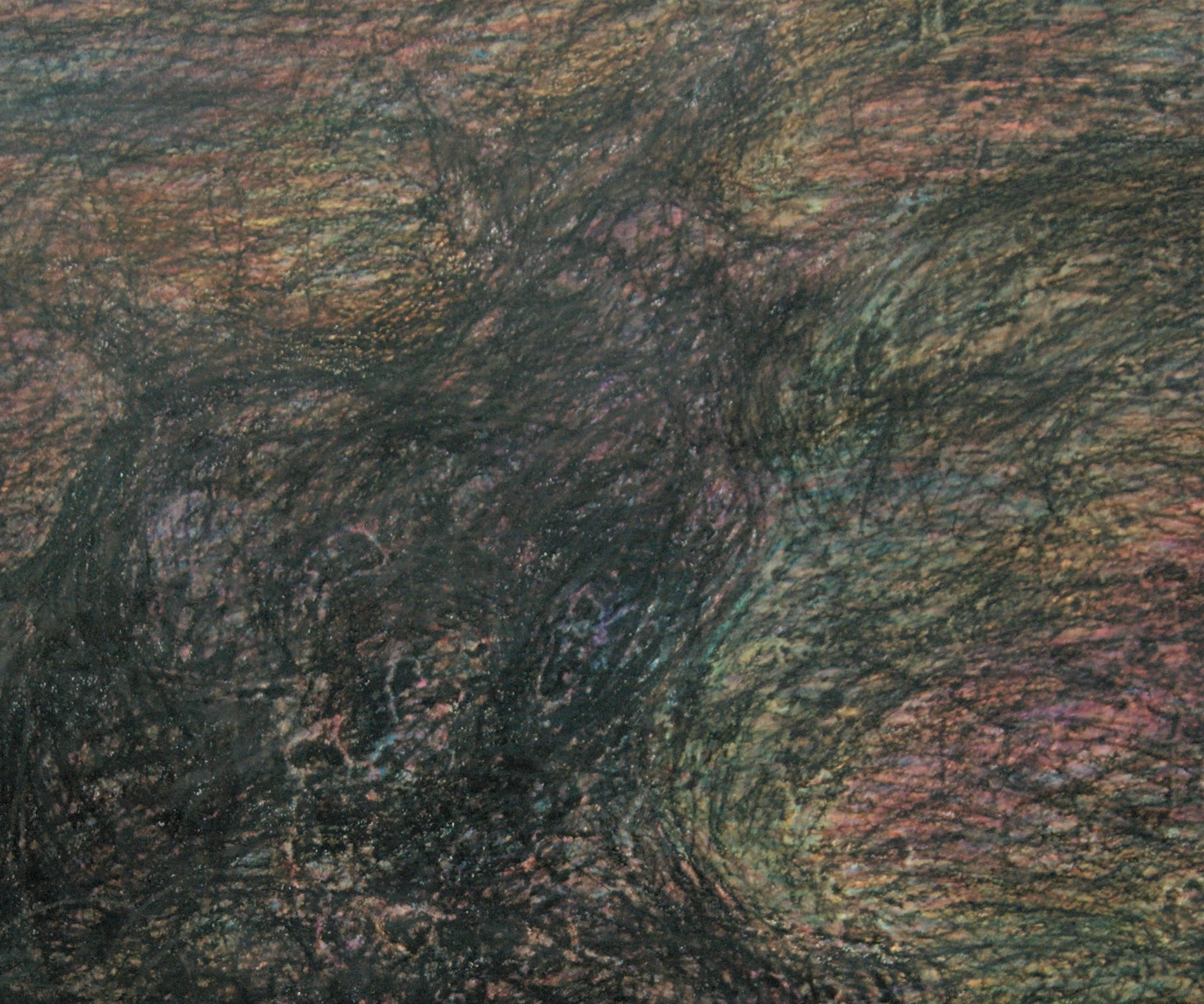 Senza titolo #7 - Disegno, Paesaggio, Astratto, 21° Contemporaneo - Abstract Drawing Nero di Zsolt Berszán