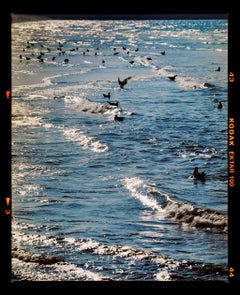 Sea and Gulls, Brighton - British Beach Photography Color Print