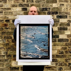 Mare e gabbiani, Brighton - Stampa a colori di una fotografia acquatica di paesaggio marino