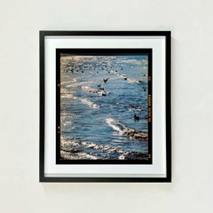 Sea and Gulls, Brighton - Seascape Water Small Framed Photography Color Print