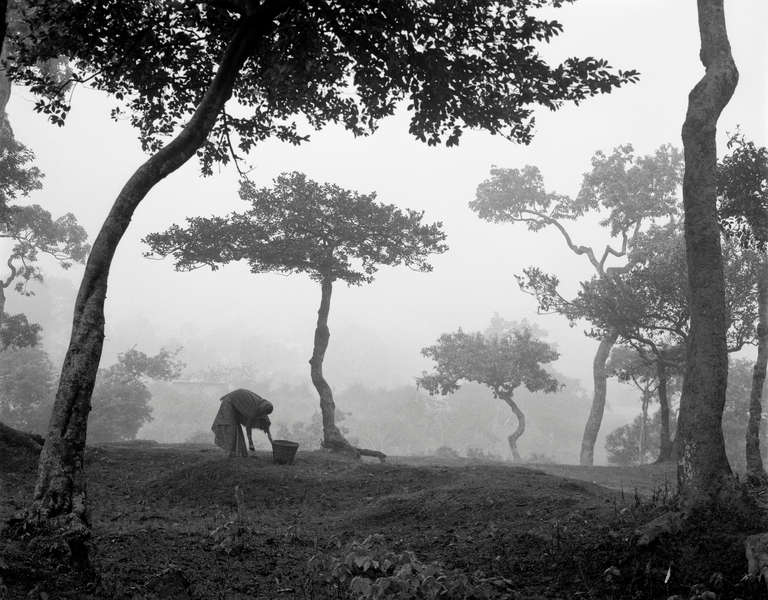 Kevin Bubriski Black and White Photograph - Woman gathering fodder at Mirgasthali, Pashupatinath, Kathmandu, Nepal 1985
