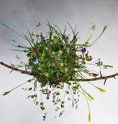 The Summer Nest, 2010