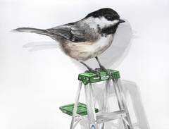 Chickadee on a Ladder