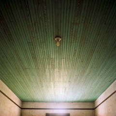 Bulb 4
