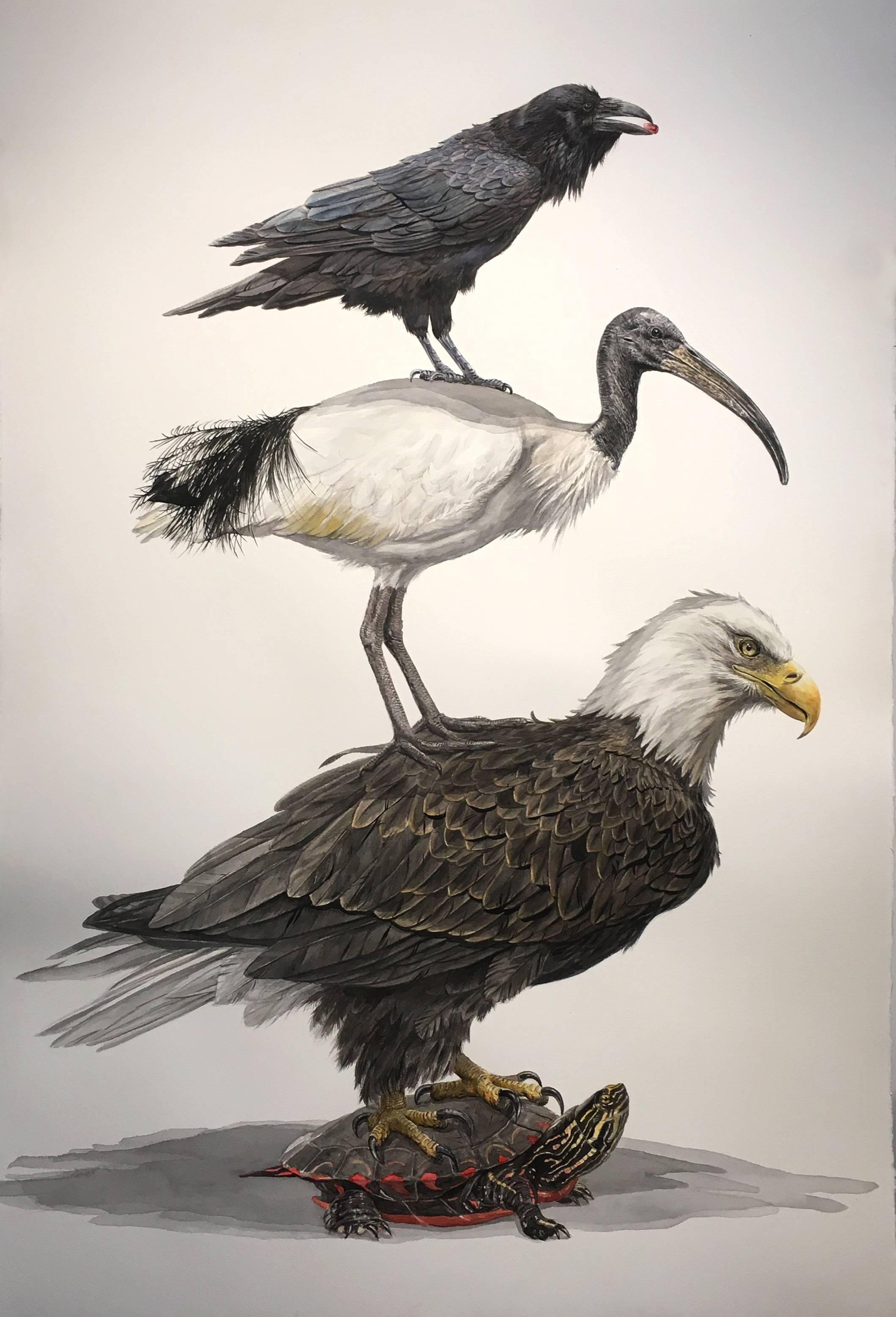 "Empire" large scale watercolor on paper, eagle, ibis, raven, turtle, framed