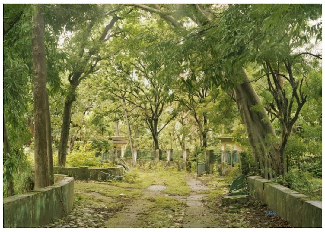 Sasha Bezzubov Landscape Photograph - Beatles Path, Rishikesh, India 30"x40" large format photograph