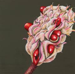 Seed Pod 1 3