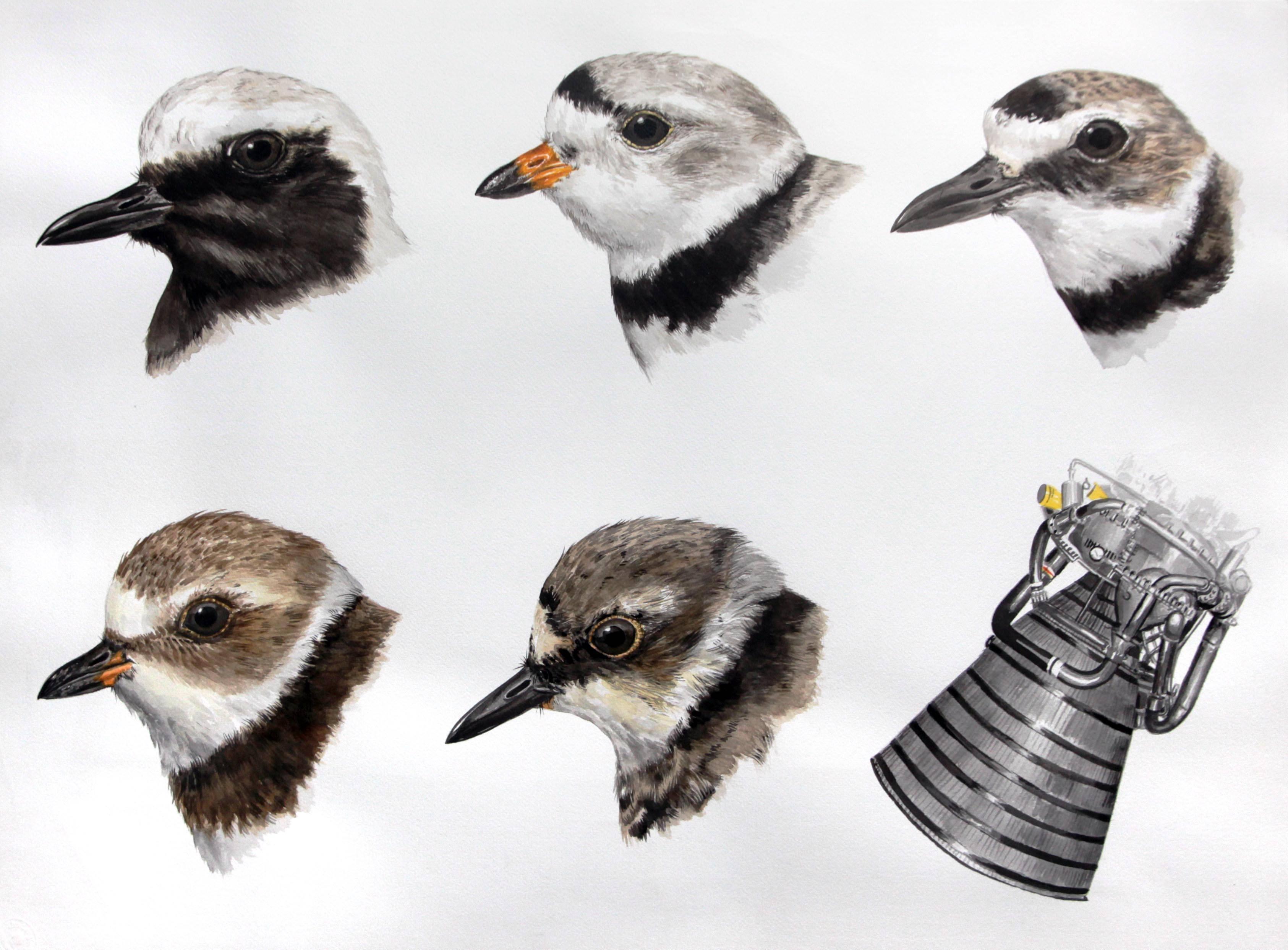 Conceptuales Gemälde „ „Plovers“ mit Vögeln und Mondrakettenmotor